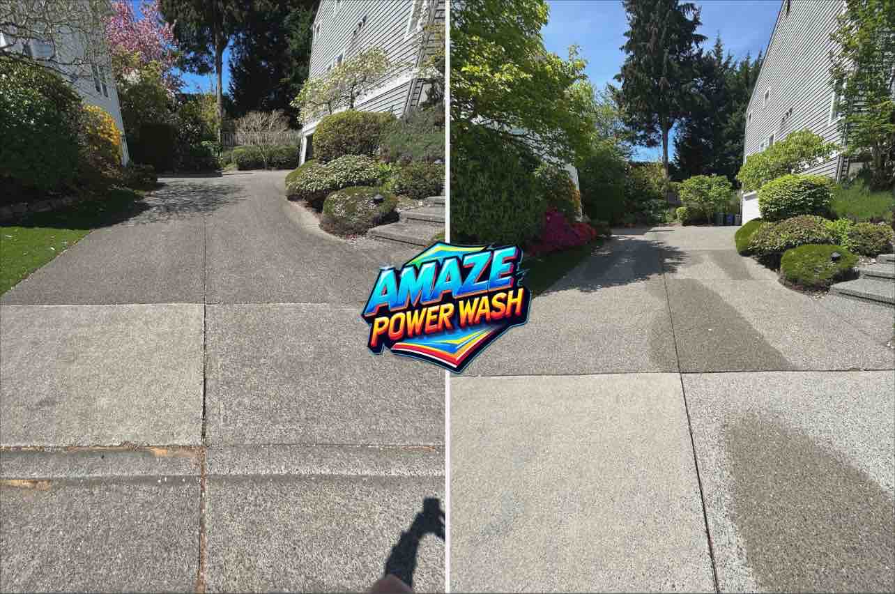 Professional Pressure Washing and Window Cleaning in Bellevue, WA